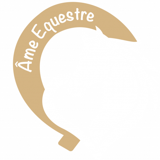 Âme équestre