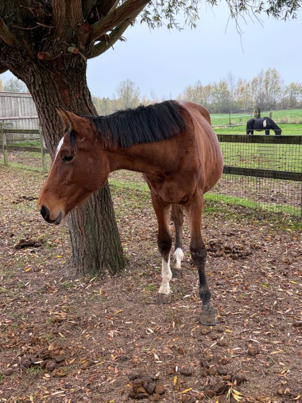 Photo site mode portrait (1)